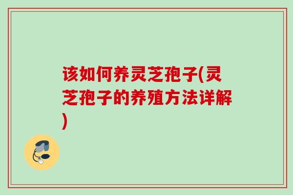 该如何养灵芝孢子(灵芝孢子的养殖方法详解)