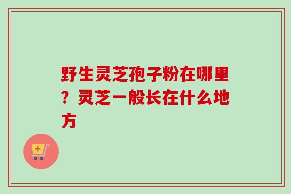 野生灵芝孢子粉在哪里?灵芝一般长在什么地方