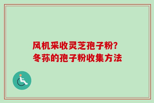风机采收灵芝孢子粉？冬荪的孢子粉收集方法