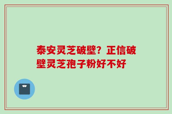 泰安灵芝破壁？正信破壁灵芝孢子粉好不好