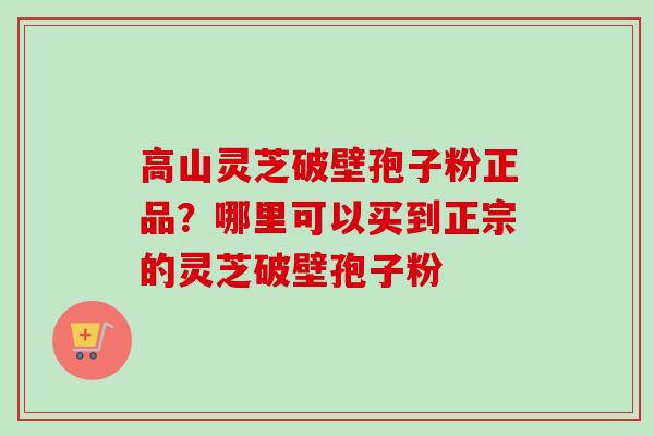 高山灵芝破壁孢子粉正品？哪里可以买到正宗的灵芝破壁孢子粉