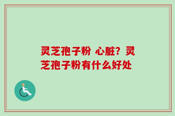 灵芝孢子粉 ？灵芝孢子粉有什么好处