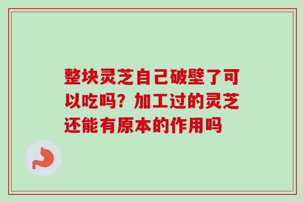 整块灵芝自己破壁了可以吃吗？加工过的灵芝还能有原本的作用吗