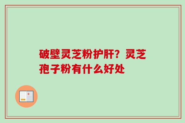 破壁灵芝粉？灵芝孢子粉有什么好处