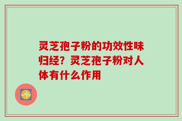 灵芝孢子粉的功效性味归经？灵芝孢子粉对人体有什么作用