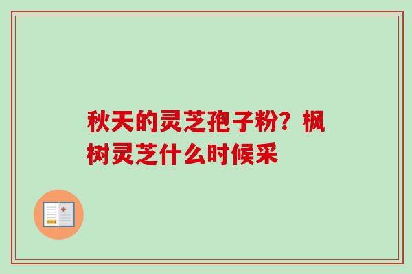 秋天的灵芝孢子粉？枫树灵芝什么时候采