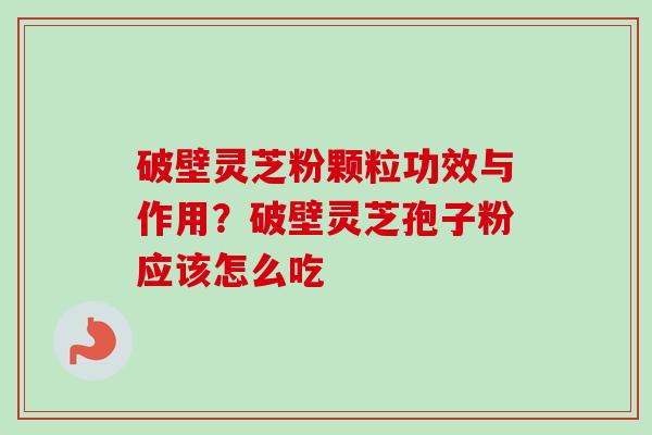 破壁灵芝粉颗粒功效与作用？破壁灵芝孢子粉应该怎么吃