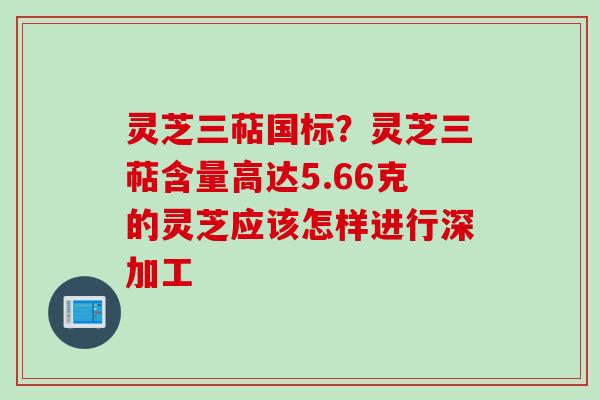 灵芝三萜国标？灵芝三萜含量高达5.66克的灵芝应该怎样进行深加工