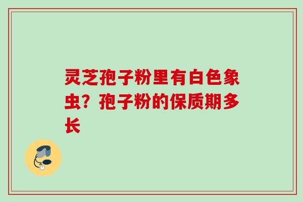 灵芝孢子粉里有白色象虫？孢子粉的保质期多长