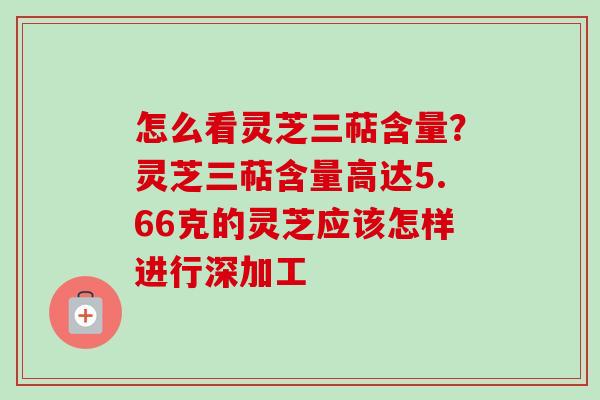 怎么看灵芝三萜含量？灵芝三萜含量高达5.66克的灵芝应该怎样进行深加工