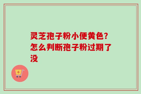 灵芝孢子粉小便黄色？怎么判断孢子粉过期了没