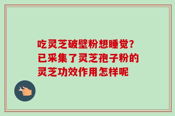 吃灵芝破壁粉想睡觉？已采集了灵芝孢子粉的灵芝功效作用怎样呢