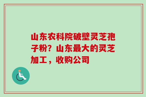 山东农科院破壁灵芝孢子粉？山东大的灵芝加工，收购公司