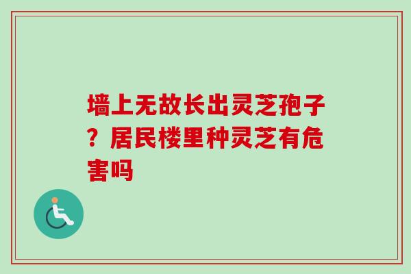 墙上无故长出灵芝孢子？居民楼里种灵芝有危害吗
