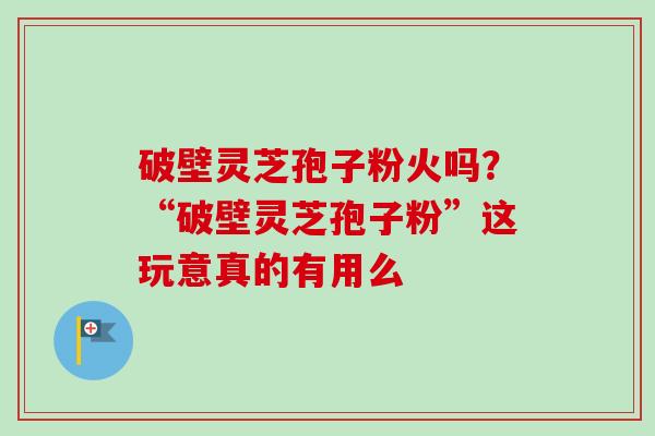 破壁灵芝孢子粉火吗？“破壁灵芝孢子粉”这玩意真的有用么