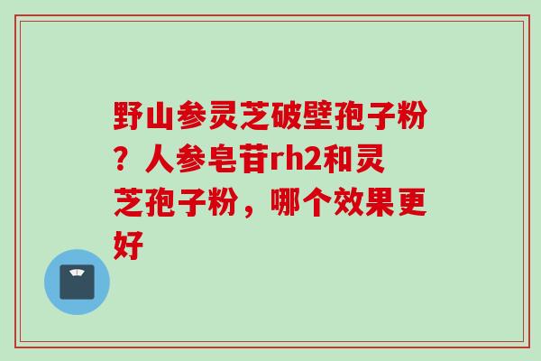 野山参灵芝破壁孢子粉？人参皂苷rh2和灵芝孢子粉，哪个效果更好