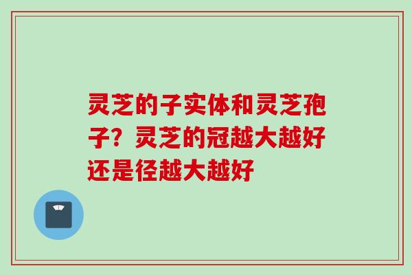 灵芝的子实体和灵芝孢子？灵芝的冠越大越好还是径越大越好