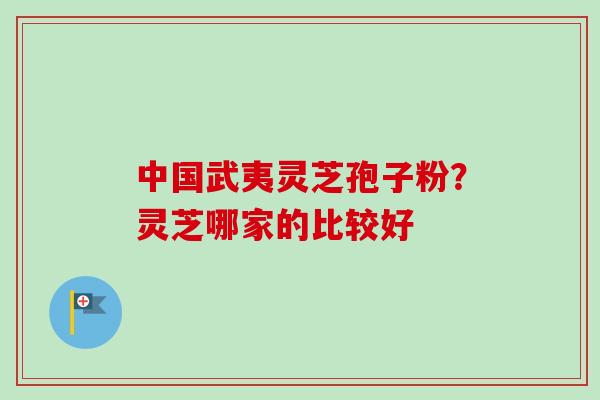 中国武夷灵芝孢子粉？灵芝哪家的比较好