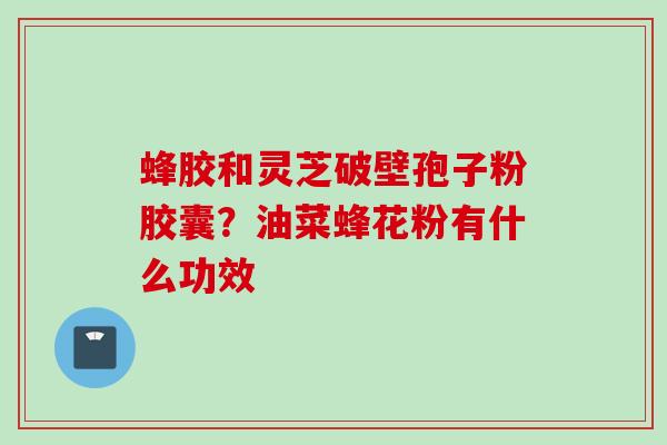 蜂胶和灵芝破壁孢子粉胶囊？油菜蜂花粉有什么功效