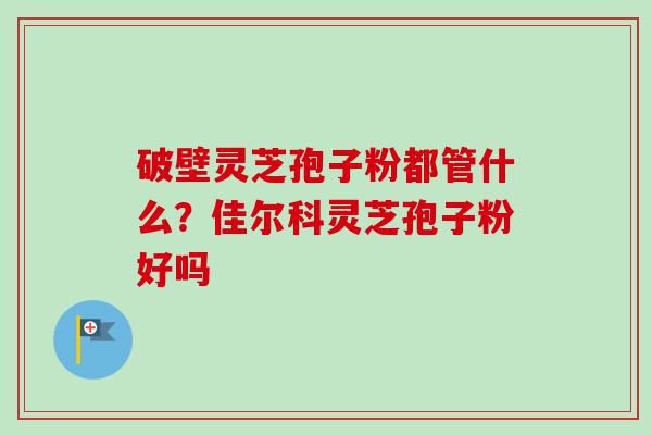 破壁灵芝孢子粉都管什么？佳尔科灵芝孢子粉好吗