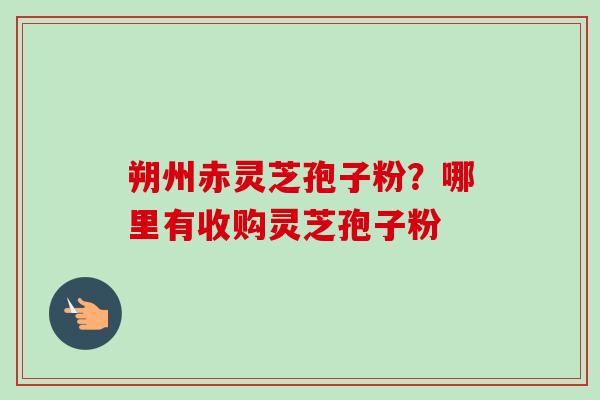 朔州赤灵芝孢子粉？哪里有收购灵芝孢子粉
