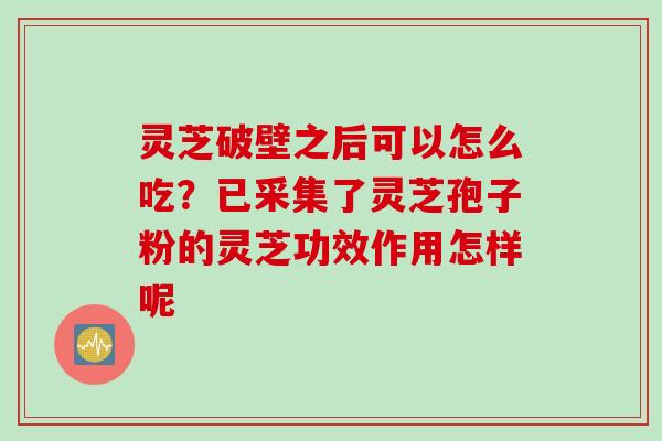灵芝破壁之后可以怎么吃？已采集了灵芝孢子粉的灵芝功效作用怎样呢