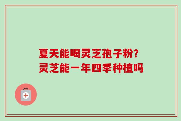 夏天能喝灵芝孢子粉？灵芝能一年四季种植吗