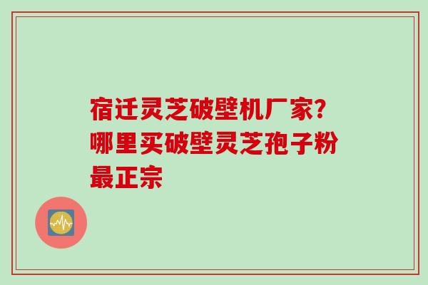 宿迁灵芝破壁机厂家？哪里买破壁灵芝孢子粉正宗