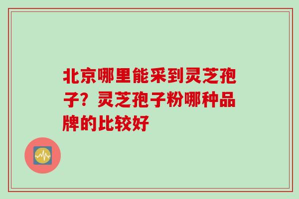 北京哪里能采到灵芝孢子？灵芝孢子粉哪种品牌的比较好