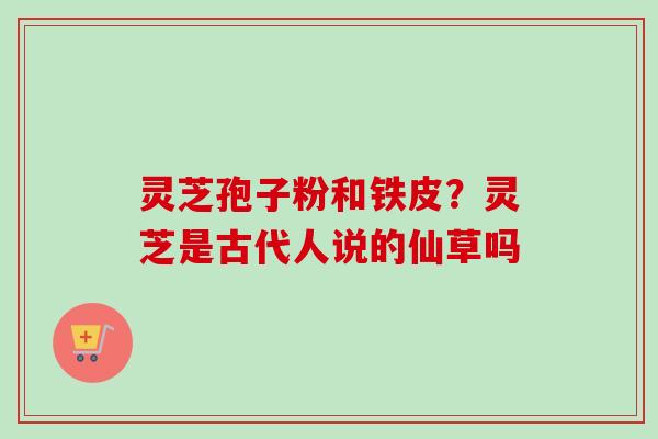 灵芝孢子粉和铁皮？灵芝是古代人说的仙草吗