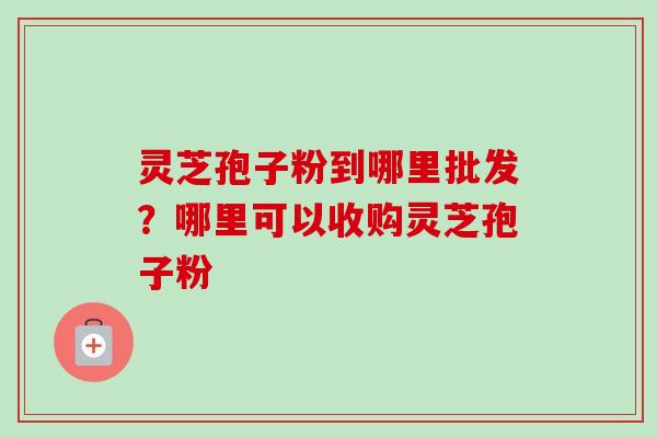 灵芝孢子粉到哪里批发？哪里可以收购灵芝孢子粉