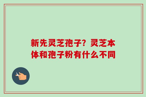 新先灵芝孢子？灵芝本体和孢子粉有什么不同