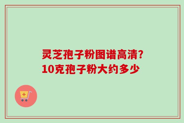 灵芝孢子粉图谱高清？10克孢子粉大约多少