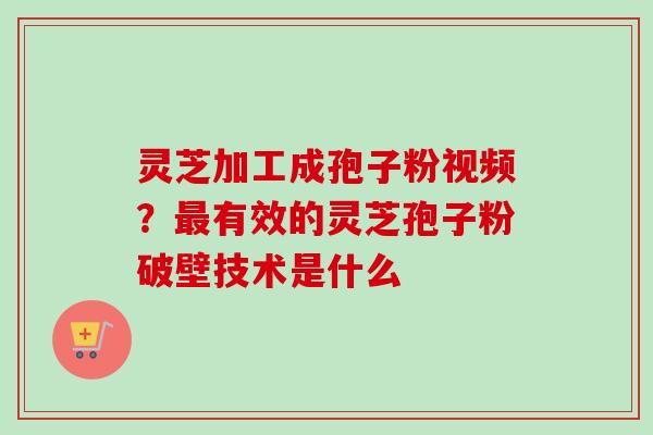 灵芝加工成孢子粉视频?最有效的灵芝孢子粉破壁技术是什么