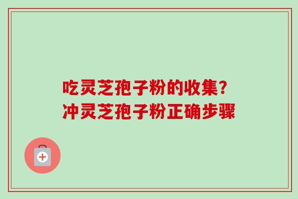 吃灵芝孢子粉的收集？冲灵芝孢子粉正确步骤