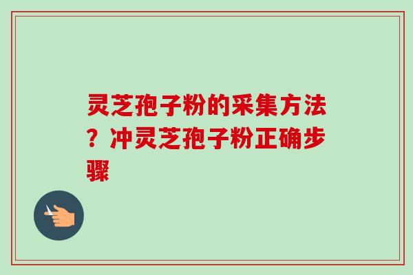 灵芝孢子粉的采集方法？冲灵芝孢子粉正确步骤