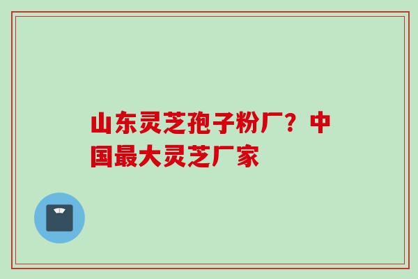 山东灵芝孢子粉厂？中国大灵芝厂家