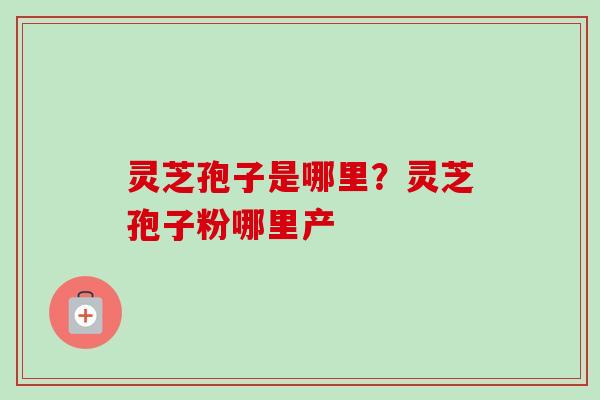 灵芝孢子是哪里？灵芝孢子粉哪里产