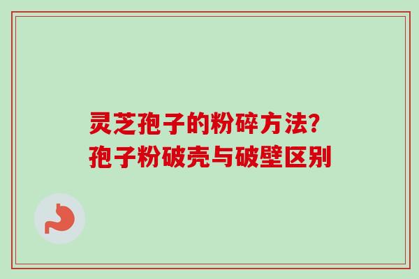 灵芝孢子的粉碎方法？孢子粉破壳与破壁区别