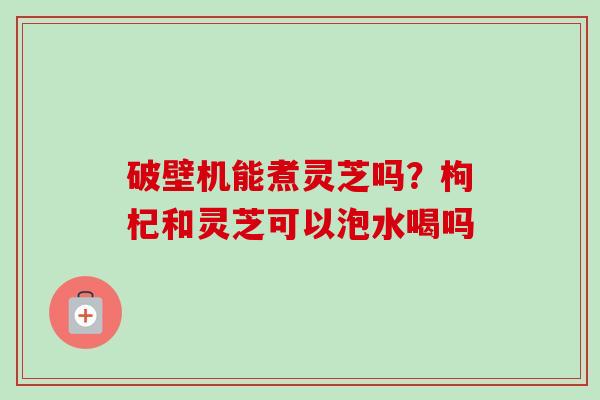 破壁机能煮灵芝吗？枸杞和灵芝可以泡水喝吗