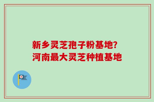 新乡灵芝孢子粉基地？河南大灵芝种植基地
