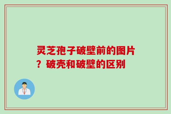 灵芝孢子破壁前的图片？破壳和破壁的区别