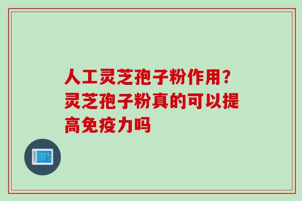 人工灵芝孢子粉作用？灵芝孢子粉真的可以提高免疫力吗