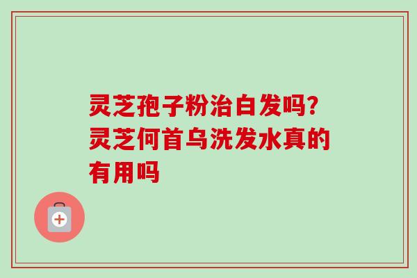 灵芝孢子粉白发吗？灵芝何首乌洗发水真的有用吗