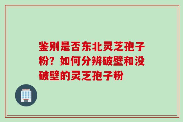 鉴别是否东北灵芝孢子粉？如何分辨破壁和没破壁的灵芝孢子粉