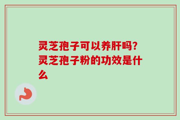 灵芝孢子可以养肝吗？灵芝孢子粉的功效是什么