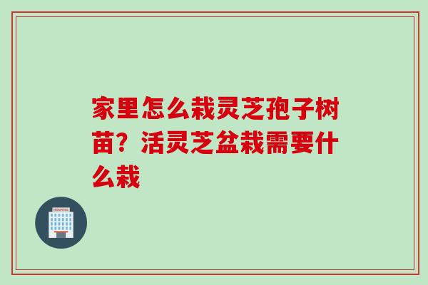 家里怎么栽灵芝孢子树苗？活灵芝盆栽需要什么栽