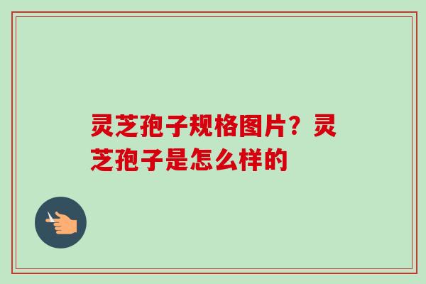 灵芝孢子规格图片？灵芝孢子是怎么样的