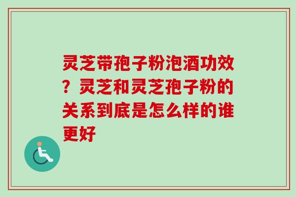 灵芝带孢子粉泡酒功效？灵芝和灵芝孢子粉的关系到底是怎么样的谁更好