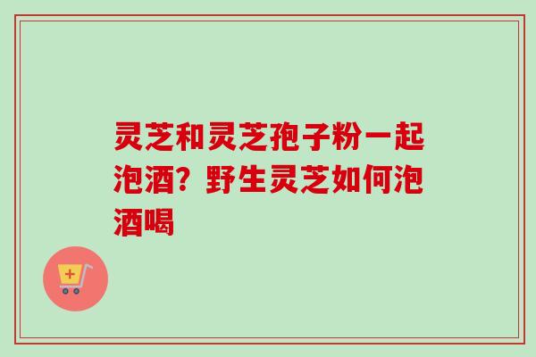 灵芝和灵芝孢子粉一起泡酒？野生灵芝如何泡酒喝